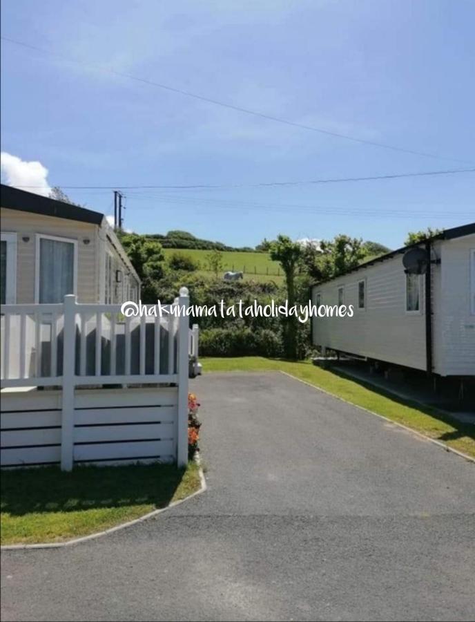 Hakuna Matata Holiday Home New Quay Exteriér fotografie